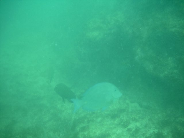 IMAG0010